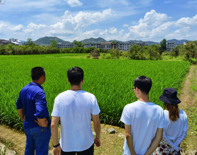 三下乡｜商学院研究生帮扶团助力咸宁市通山县农业合作社农机服务升级