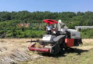 农机服务“触网”升级 陕西省农业机械化管理局信息网引领现代农业新变革