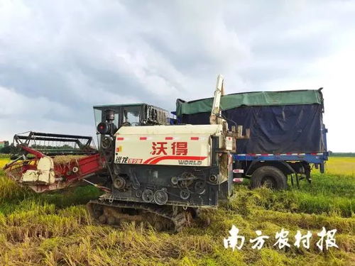 广东各方协同行动，农机服务筑牢农业基本盘以应对灾情挑战