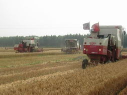 濮阳市农业机械管理局 深耕农机服务，助力现代农业发展