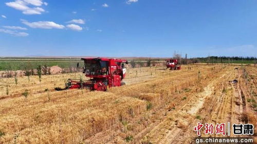 智能装备点亮现代农业 张掖临泽农机总动力突破56万千瓦的背后